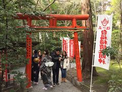 -野宫神社