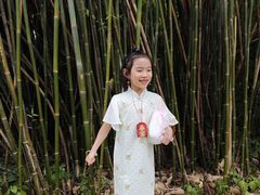 -开平碉楼文化旅游区马降龙景区