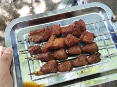 -王记西鎮电烤肉(汶上路店)