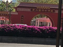 -莲花山公园