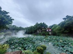 -广州莲花山旅游区