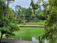 -新加坡植物园