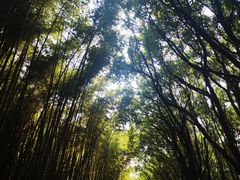 -同里国家湿地公园