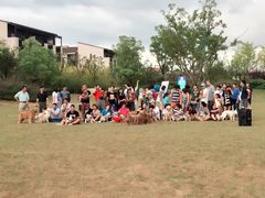 -上海崇明金茂凯悦酒店