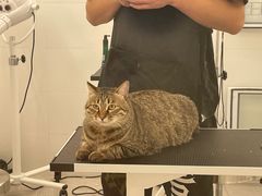 -comecome来吧宠物(奥克斯中心店)