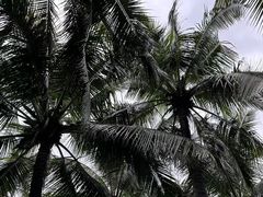 -深圳湾公园(南山区)