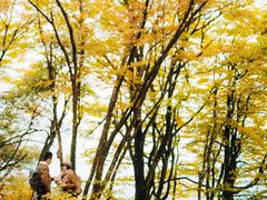 -光雾山旅游景区