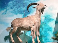 -重庆中国三峡博物馆(重庆博物馆)