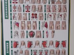 -通透堂中医·精准推拿(旗舰店)