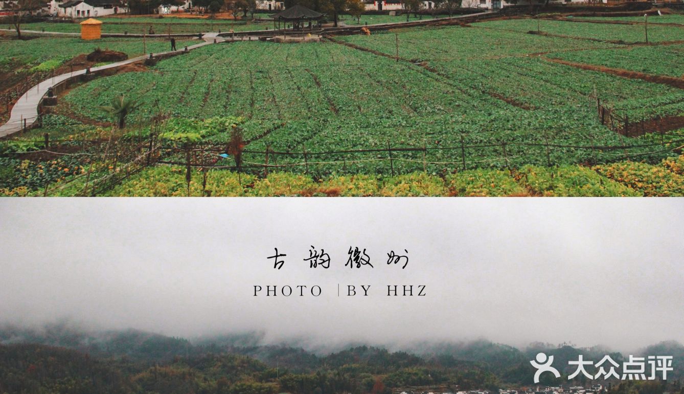 世界遗产必打卡|黄山脚下西递古镇旅游攻略