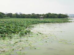 景点-云龙湖旅游景区