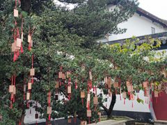 -东山雕花楼