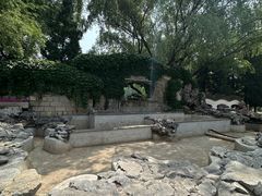 -团结湖公园