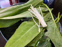 青菜-牛武士寿喜烧·和牛火锅自助(全球首店)