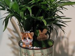 -花言草语鲜花店(灵山路店)