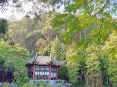 -顺峰山公园