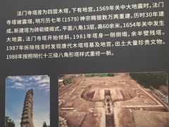 -青岛市博物馆