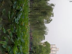 -四川大学(望江校区)