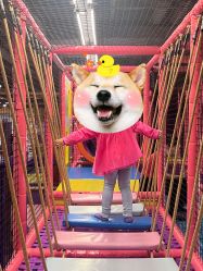-SPAAARK超级乐园(广州海珠万达店)
