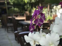 -Dash Teak House