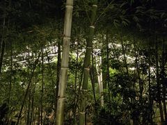 -福道