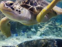 -福州罗源湾海洋世界旅游区