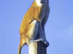 -杭州野生动物世界