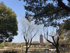 -苏州吴宫泛太平洋酒店
