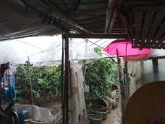 -马陆小张葡萄园农家乐