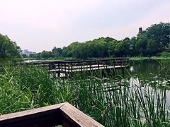 -新江湾城公园