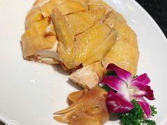 -新兴·金羊座·粤菜点心(乐峰店)