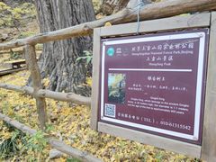 -北京上方山国家森林公园