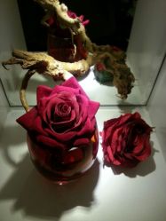 android_upload_pic-法国安杰玛SPA会所