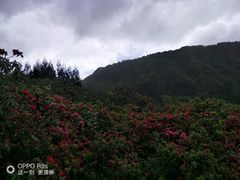 -虹口漂流