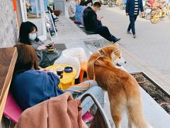 -BE YOLO必有乐&小红帽三明治