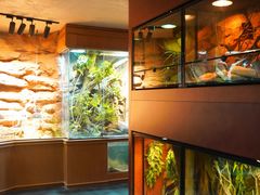 -帕帕拉兹宠物(亚洲旗舰店)