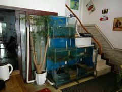 -东吴面馆(十全街店)