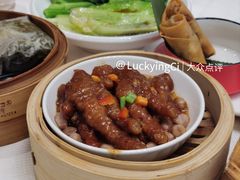 -东方御宴海鲜酒楼(棕泉酒店)