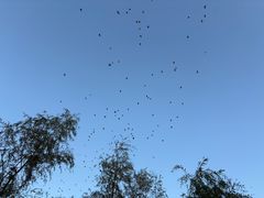 -艾溪湖湿地公园