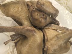 -百利鸽王(紫薇路店)