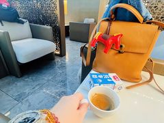 -虹桥机场V2贵宾休息室