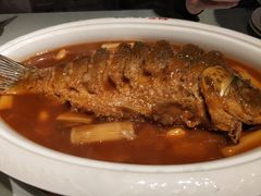 红烧黄河鲤鱼-阿五黄河大鲤鱼(英协路店)
