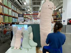 -山姆会员商店(亦庄创意生活广场店)