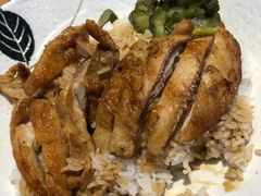 -美食小镇·观赏珍稀鸟类·长隆熊猫酒店