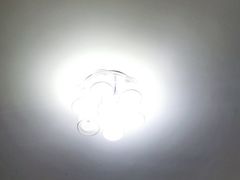 -西贝(金桥店)