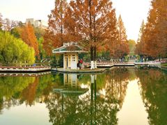 -环城公园-琥珀潭