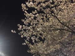 -艾蜜西餐厅(梅园店)