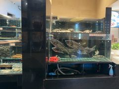 -衢农会·衢州菜·宴请(国际机场店)