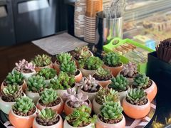 -ZOO COFFEE 动物园咖啡(亦庄店)