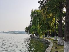 -湖滨客舍·湖北菜